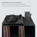 5-in-1 Vinyl Record Cleaning Kit with Accessories