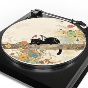 Qehuruxo Cat Slipmats for Vinyl Turntables