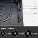 10-in-1 Bluetooth Vinyl Record Player with Speakers