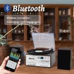 10-in-1 Bluetooth Vinyl Record Player with Speakers