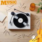 Kingdder 100 Pack Steel Phonograph Replacement Needles