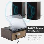 10-in-1 Bluetooth Vinyl Record Player with Speakers