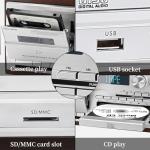 10-in-1 Bluetooth Vinyl Record Player with Speakers