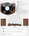 Bluetooth Vinyl Record Player with Dual Speakers