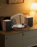 Bluetooth Vinyl Record Player with Dual Speakers