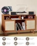Vinyl Record Player with Dual Stereo Speakers