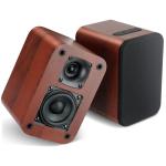 RIOWOIS Bluetooth Bookshelf Speakers for Vinyl Players