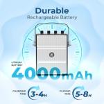 Powerful 100W Voice Amplifier with Wireless Microphones