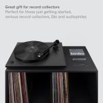 Audio Record Cleaning Kit - 2-in-1 Vinyl Cleaner