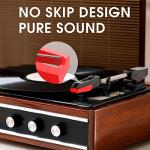 DIGITNOW 4 Pack Replacement Needles for Turntables