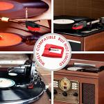 DIGITNOW 4 Pack Replacement Needles for Turntables