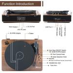 Walnut LP&No.1 Bluetooth Turntable with Stereo Speakers