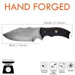 Damascus Steel Fixed Blade Knife with Leather Sheath