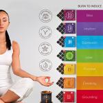 Chakra Incense Brick Super Set with Burner