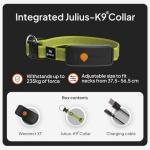 Weenect Dog XT GPS Collar - Waterproof & Durable