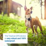 Tractive 3G GPS Dog Tracker – Unlimited Range Device