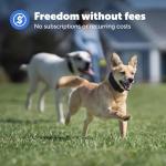 PetSafe Guardian GPS Dog Fence - Wireless & Waterproof