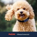 PetLink GPS Dog Tracker with Virtual Fence