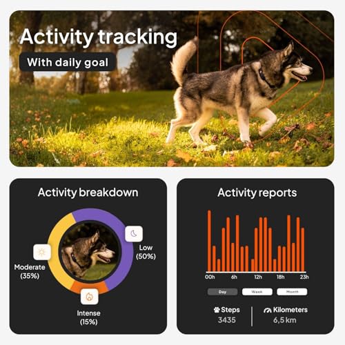 Weenect Dog XT GPS Collar - waterproof & durable