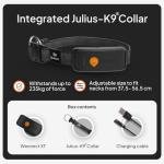 Weenect Dog XT GPS Collar - waterproof & durable