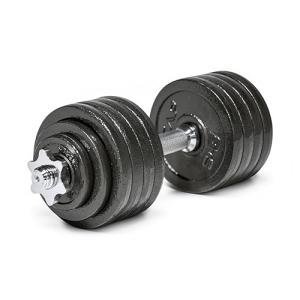 Adjustable Dumbbell Set - 52.5 lb for Home Gym