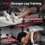 FLYBIRD Adjustable Olympic Weight Bench for Full Body