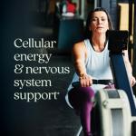 Energy Multivitamin for Balance and Stress Support