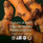 Energy Multivitamin for Balance and Stress Support