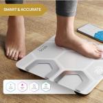 INEVIFIT EROS Smart Bluetooth Body Fat Scale