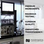 Lions Mane Mushroom Capsules 500mg | 180 Count