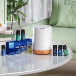 ASAKUKI Aromatherapy Diffuser with Essential Oils Set