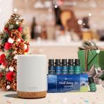 ASAKUKI Aromatherapy Diffuser with Essential Oils Set