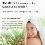 Pine & Fir Essential Oil Aromatherapy Candle