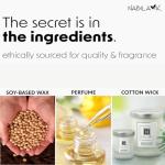 Pine & Fir Essential Oil Aromatherapy Candle