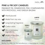 Pine & Fir Essential Oil Aromatherapy Candle