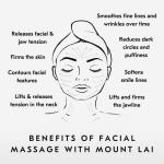 Mount Lai Jade Gua Sha and Facial Roller Set