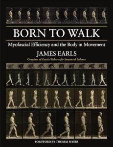 Unlocking Your Body's Movement Potential