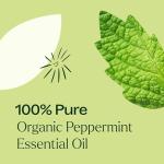 Pure Organic Peppermint Essential Oil for Aromatherapy