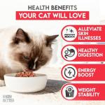 Know Better Raw Cat Food - Vet Approved Beef Supplement