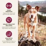 Natural High-Protein Grain-Free Dog Food - Beef