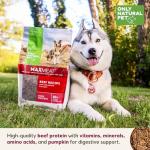 Natural High-Protein Grain-Free Dog Food - Beef