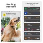 Fi Series 3+ Smart Dog Tracker Collar - GPS & Health