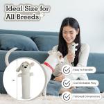 Sustainable Cotton Canvas Dog Toy Set for Chewers