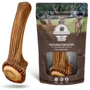 Premium XL Elk Antler Dog Bone for Chewers