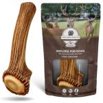 Premium XL Elk Antler Dog Bone for Chewers