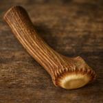 Premium XL Elk Antler Dog Bone for Chewers