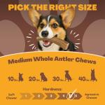 Whitetail Naturals Medium Deer Antler Dog Chews