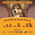 WhiteTail Naturals Deer Antler Chews for Dogs