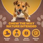 Whitetail Naturals Medium Deer Antler Dog Chews