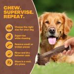 Premium XL Elk Antler Dog Bone for Chewers